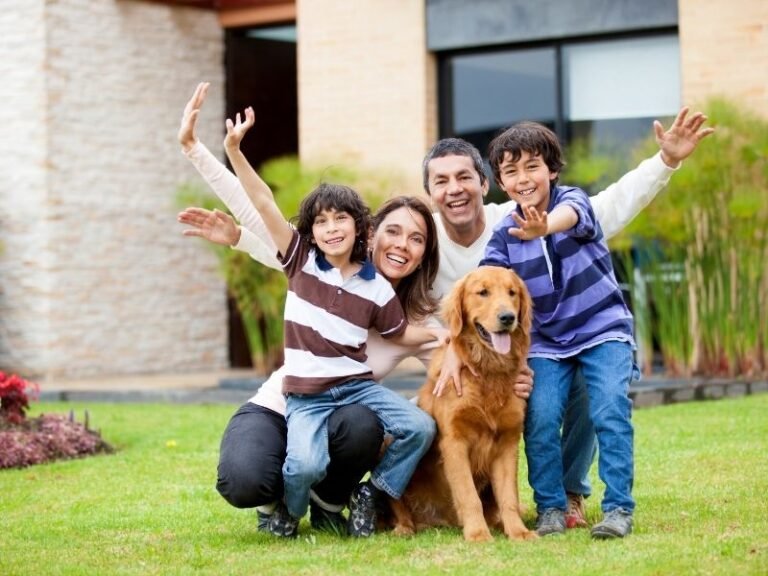 constelacao familiar sistemica